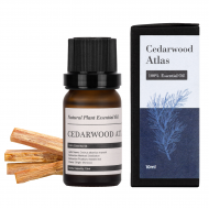 Olejek eteryczny Humanas Natural Scents 10ml cedr - Olejek eteryczny Humanas Natural Scents 10ml cedr - mdronpl-olejek-eteryczny-humanas-natural-scents-10-ml-cedr-01.jpg