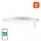 Inteligentna lampa sufitowa Gosund LB11 WiFi/Bluetooth 16M RGBCW 920lm Tuya 32cm + Pilot