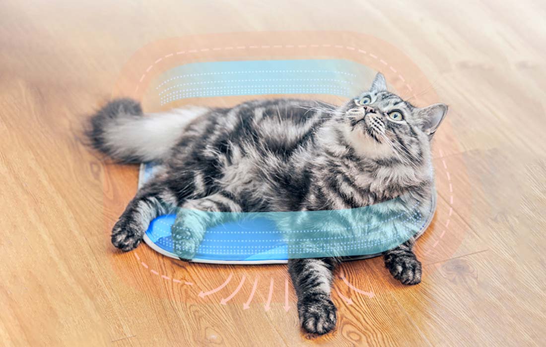 mdronpl-chlodzaca-mata-dla-kota-petkit-cooling-cat-pad-03.jpg