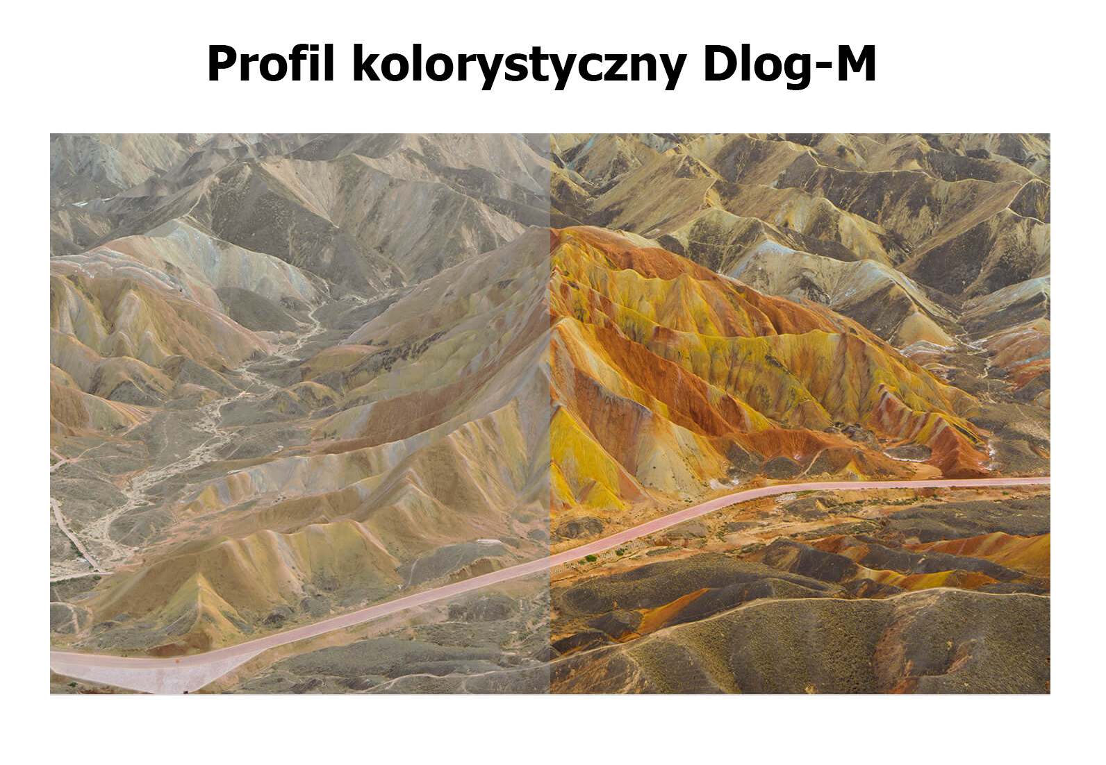 mdronpl-dji-mavic-2-pro-dlog-m.png