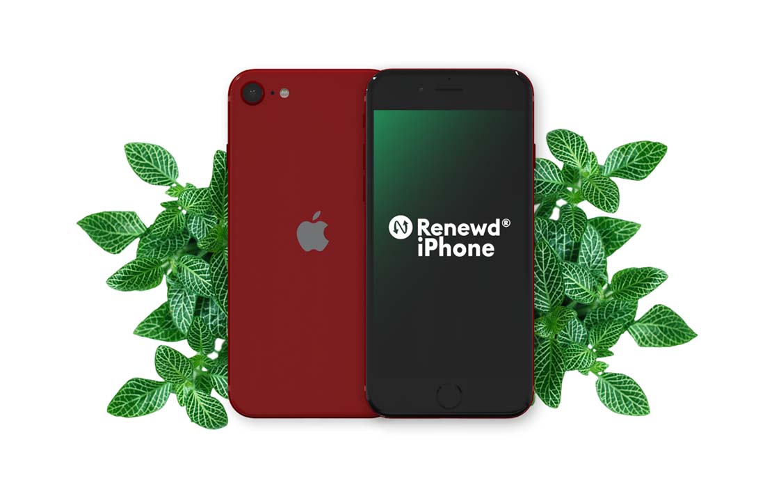 mdronpl-renewd-iphone-se-2020-czerwony-64gb-02.png