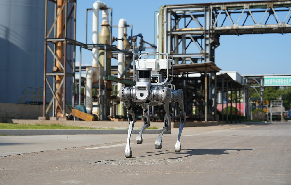 mdronpl-robot-czworonozny-unitree-b2-06.jpg